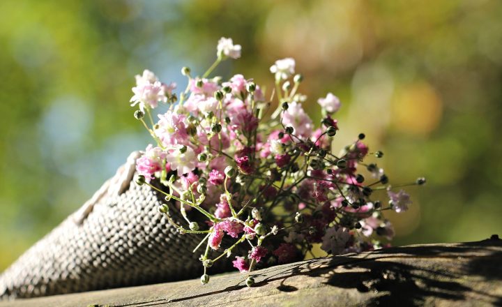 Décontamination amiante