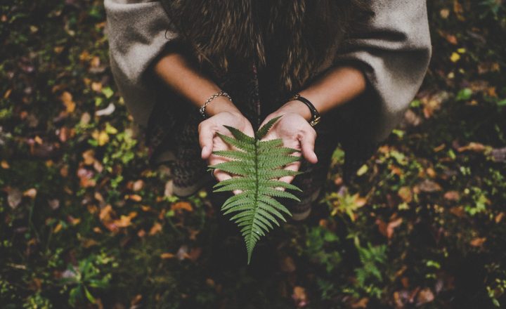 décontamination amiante