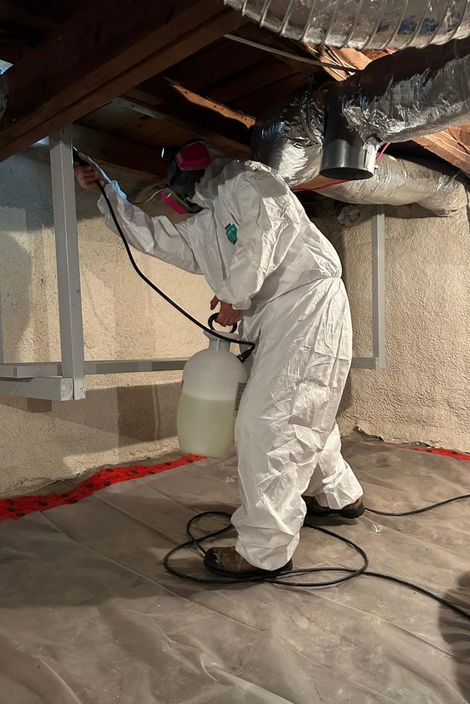 nettoyage de moisissure et décontamination moisissure