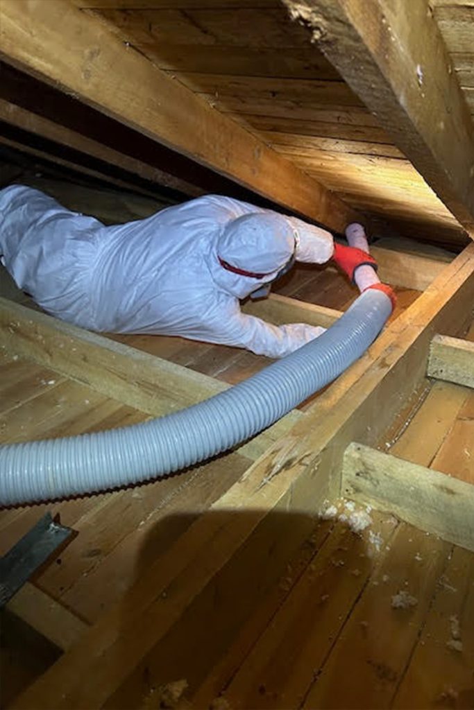 entreprise de décontamination / Décontamination moisissure Laurentides