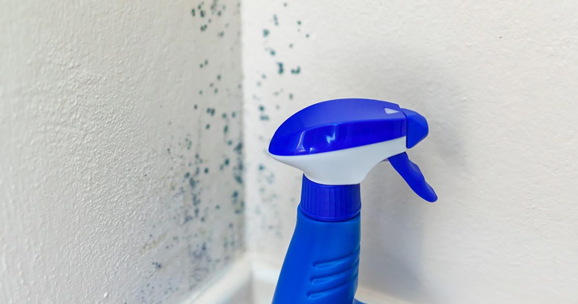 Comment enlever de la moisissure sur un mur? 6 nettoyant pour enlever de la moisissure sur un mur