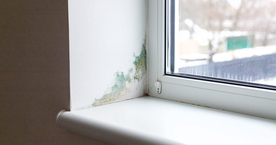 Comment reconnaître et éliminer les moisissures dans votre maison? 5 Moisissure qui se crée près d'une fenêtre / Comment reconnaître et éliminer les moisissures dans votre maison?