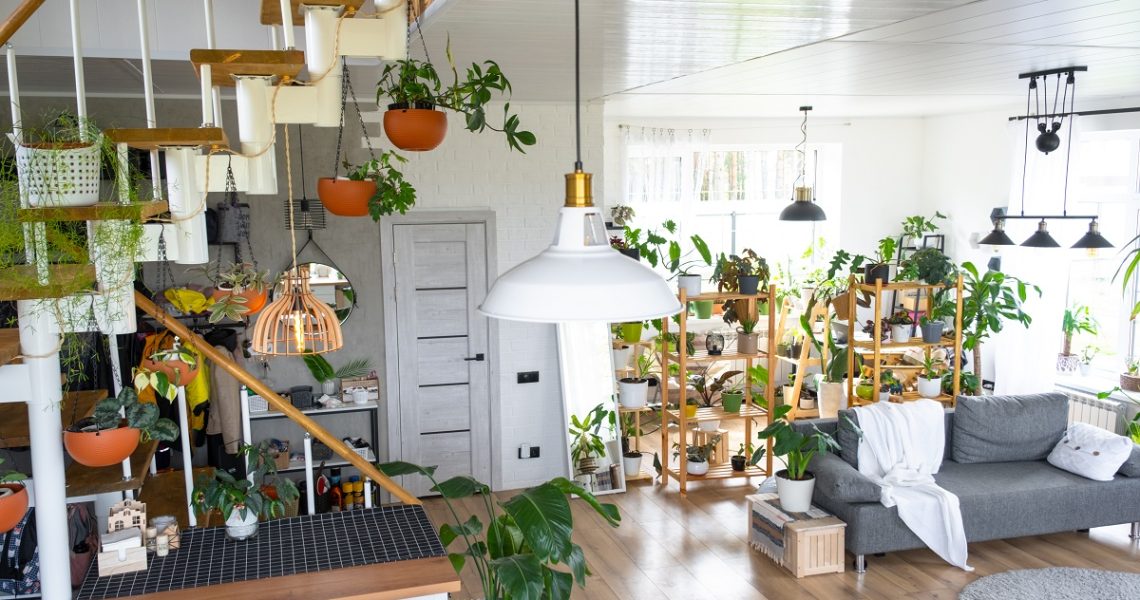 Améliorer la qualité de l'air intérieur pour un été sain 2 qualité de l'air intérieur