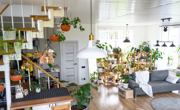 Améliorer la qualité de l'air intérieur pour un été sain 2 qualité de l'air intérieur