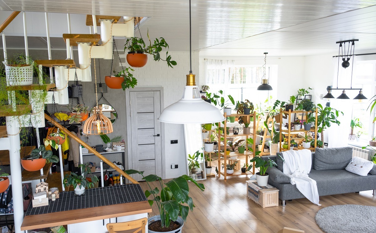 qualité de l'air intérieur